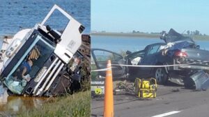 accidente-guanaco-foto-doble