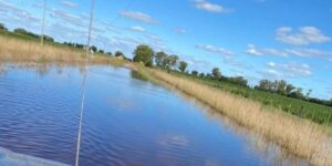 Inundaciones-Carlos-Casares-e1746468381817-750x375