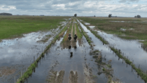 Inundaciones-Ordoqui-1-768x432